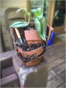Green plant growing from top of broken clay pot