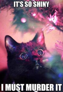 Kitten looking at Christmas tree